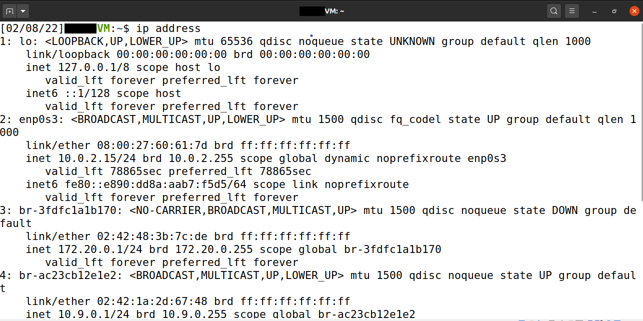 terminal command to get ip address